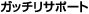 �K�b�`���T�|�[�g